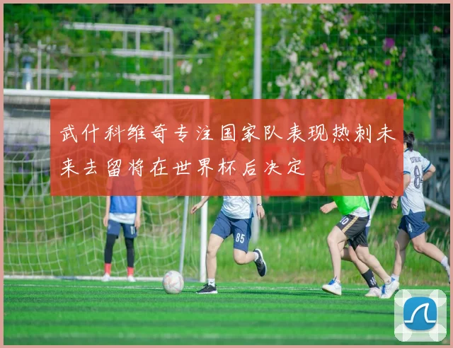武什科维奇专注国家队表现热刺未来去留将在世界杯后决定