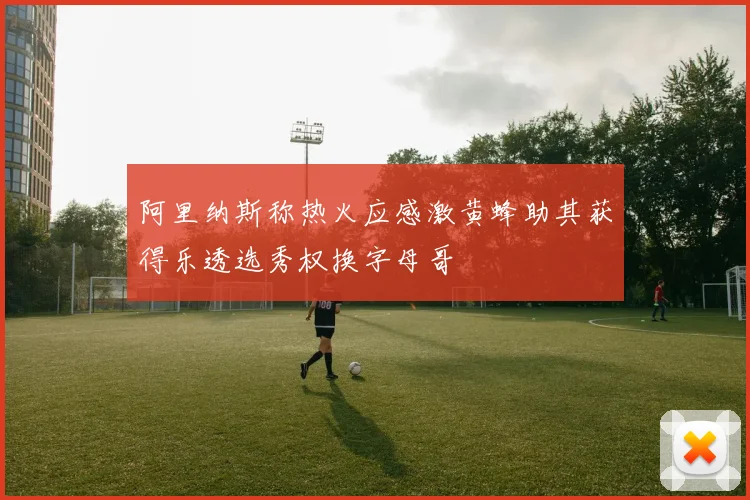 阿里纳斯称热火应感激黄蜂助其获得乐透选秀权换字母哥