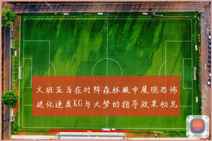 文班亚马在对阵森林狼中展现恐怖进化速度KG与大梦的指导效果初见成效